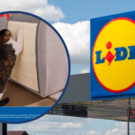 Masz dość podrapanych mebli? Lidl ma rozwiązanie