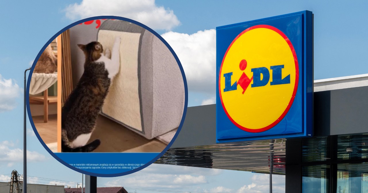 Masz dość podrapanych mebli? Lidl ma rozwiązanie /Canva Pro /INTERIA.PL