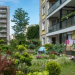 Masz ogródek pod blokiem? Te rośliny mogą ściągnąć na ciebie karę