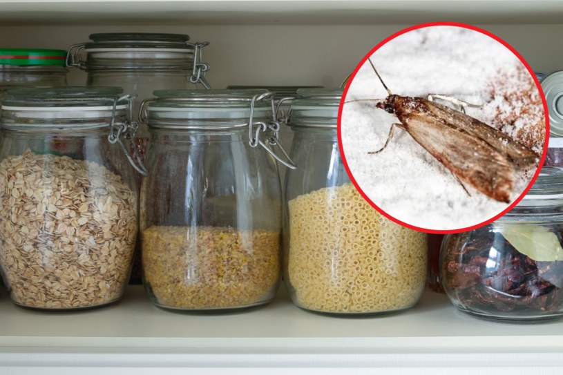 Masz problem z molami w kuchennej szafce? Domowy środek czyszczący na bazie octu i anyżu rozwiąże problem /123RF/PICSEL