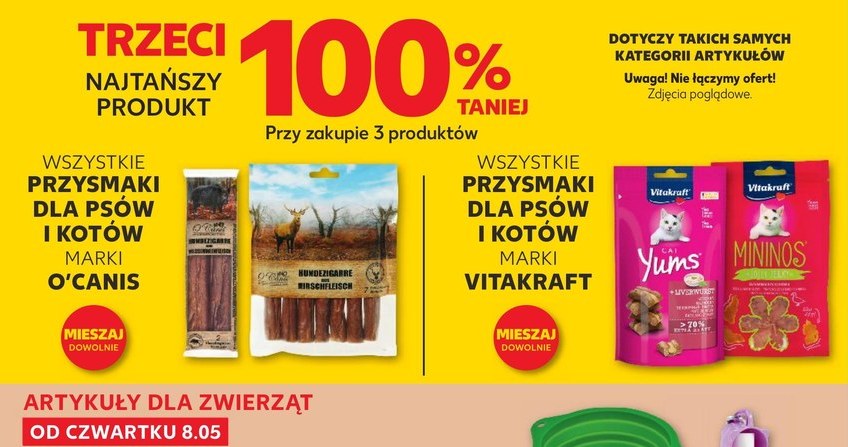 Masz psa lub kota? Te akcesoria z Kauflandu Ci się przydadzą! /Kaufland /INTERIA.PL