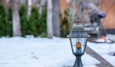 Masz takie lampki w ogrodzie? Sprawdź, co zrobić z nimi przed zimą