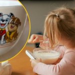 Masz te produkty z Pepco? GIS ostrzega: Zagrożenie dla zdrowia