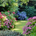 Masz te rośliny w ogrodzie? Możesz dostać milion złotych kary albo 5 lat więzienia