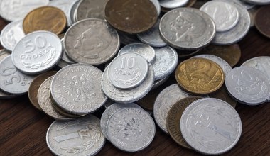 Masz w portfelu taką monetę? Będziesz w szoku gdy dowiesz się, ile jest warta