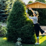 Masz żywopłot w ogrodzie? Sprawdź, czy nie narażasz się na proces sądowy