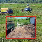 Maszyna rolnicza wciągnęła rękę nastolatka. Makabra w Świętokrzyskiem