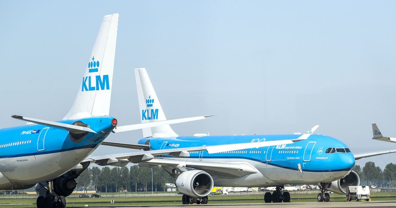 Maszyny KLM na lotnisku Schiphol pod Amsterdamem /AFP