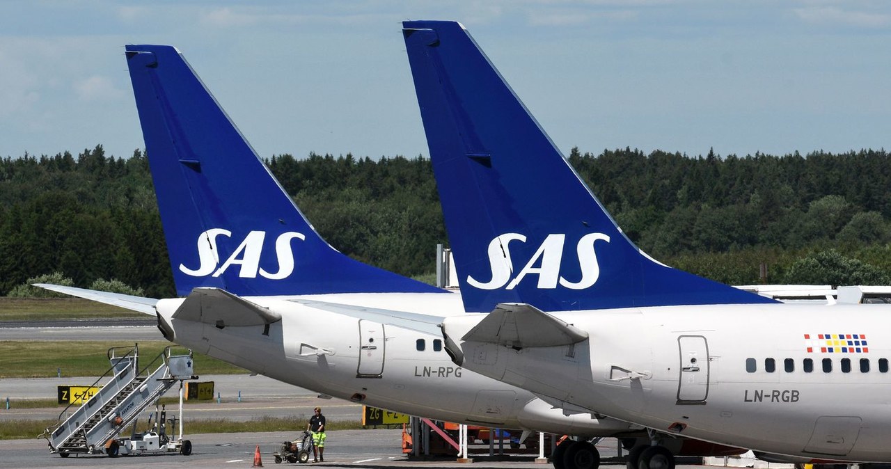 Maszyny SAS na lotnisku Arlanda pod Sztokholmem /AFP