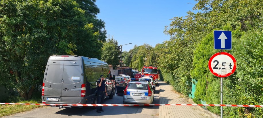 Materiały mamnewsa.pl /Mamnewsa.pl /Internet