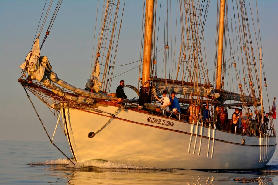 Materiały organizatora /