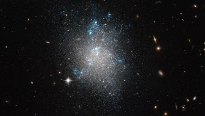 Mateusz Borkowicz: Astrologowie powinni uznać Wężownika za kolejny znak zodiaku