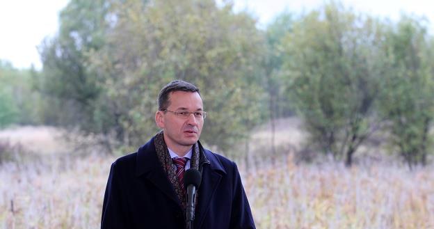 Mateusz Morawiecki /fot. Andrzej Grygiel /PAP