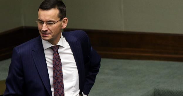 Mateusz Morawiecki, minister rozwoju. Fot. Sławomir Kamiński, źródło: Agencja Gazeta /