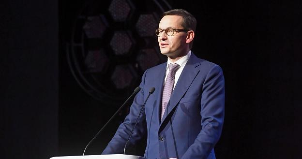 Mateusz Morawiecki, premier rządu RP /PAP