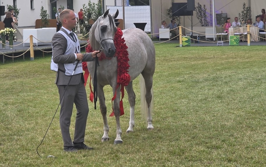 Mateusz Tokarski i Anagramma /Tomasz Staniszewski /RMF FM