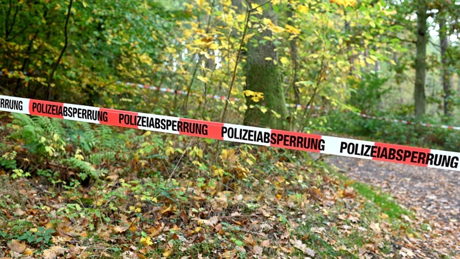 Matka I Dzieck Brutalnie Zamordowane W Niemieckim Lesie (Zdj. Podglądowe) /Shutterstock