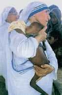 Matka Teresa podczas wizyty w sierocińcu w Asamie /Encyklopedia Internautica