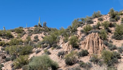 Matki szukają swoich dzieci. Na pustyni znalazły już 1520 ciał