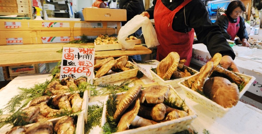 Matsutake na straganie w Tokio /EVERETT KENNEDY BROWN /PAP/EPA