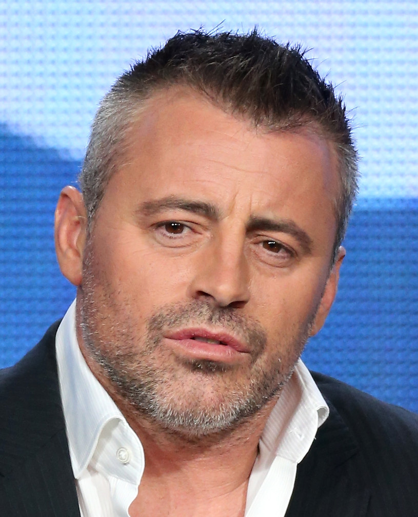 Matt LeBlanc /Frederick M. Brown /Getty Images