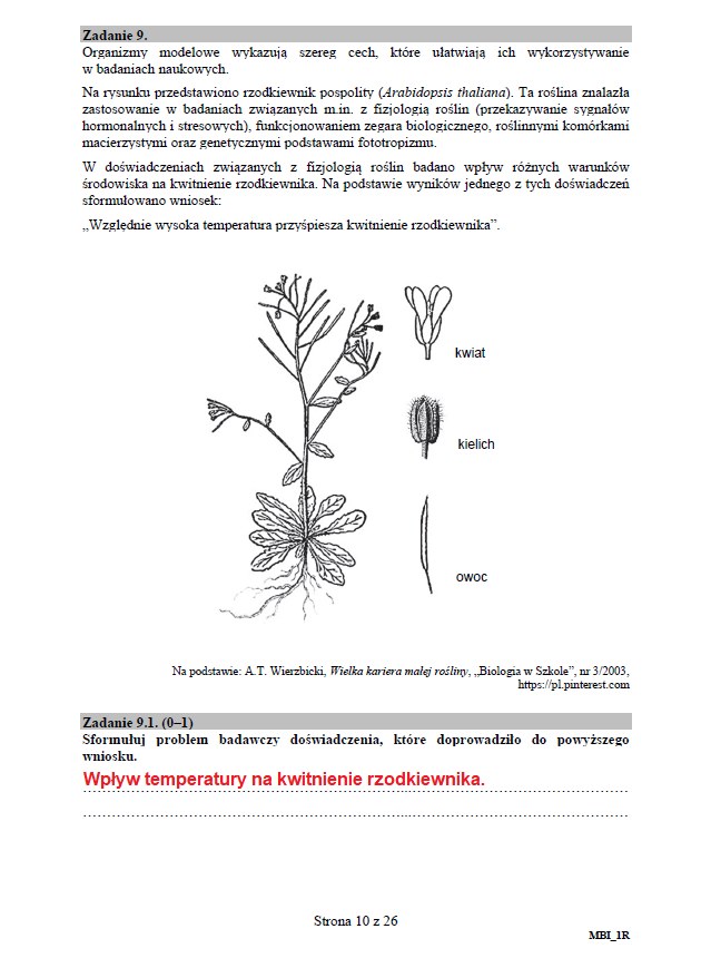 Matura 2020: Biologia - arkusz CKE i odpowiedzi, strona 10 /INTERIA.PL