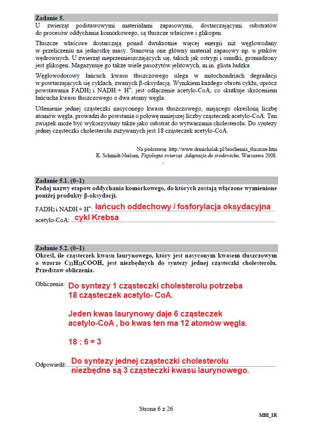Matura 2020: Biologia - arkusz CKE i odpowiedzi, strona 6 /INTERIA.PL