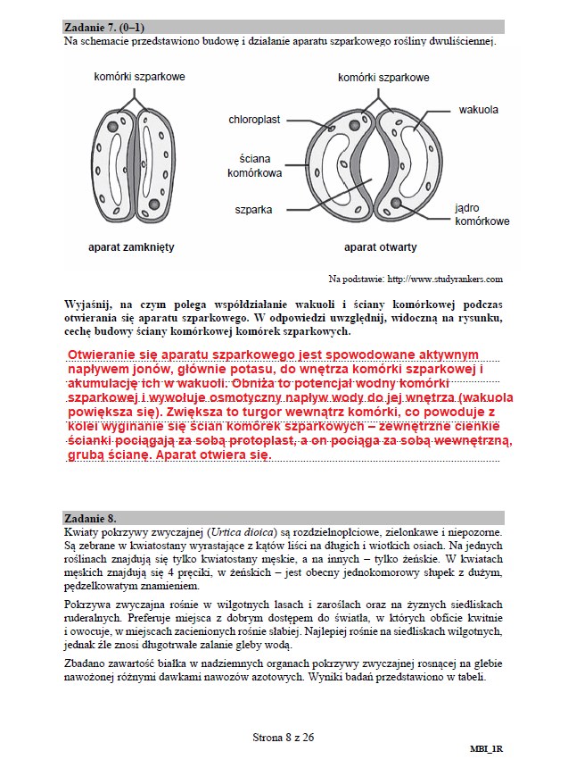 Matura 2020: Biologia - arkusz CKE i odpowiedzi, strona 8 /INTERIA.PL