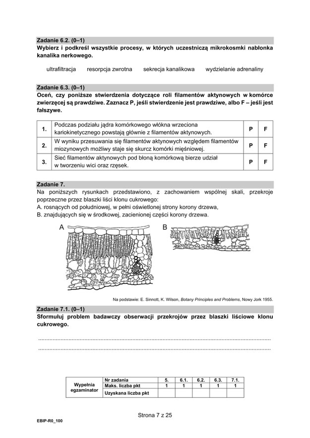 Matura 2021: Biologia, poziom rozszerzony - arkusz zadań /CKE /