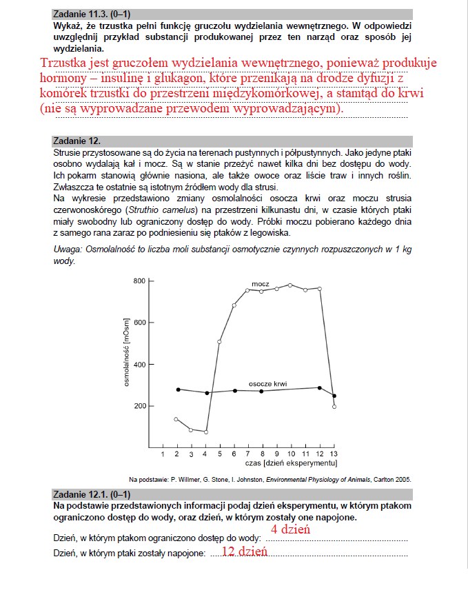 Matura 2021: Biologia. Zobacz Arkusz CKE I Odpowiedzi - Wydarzenia W ...