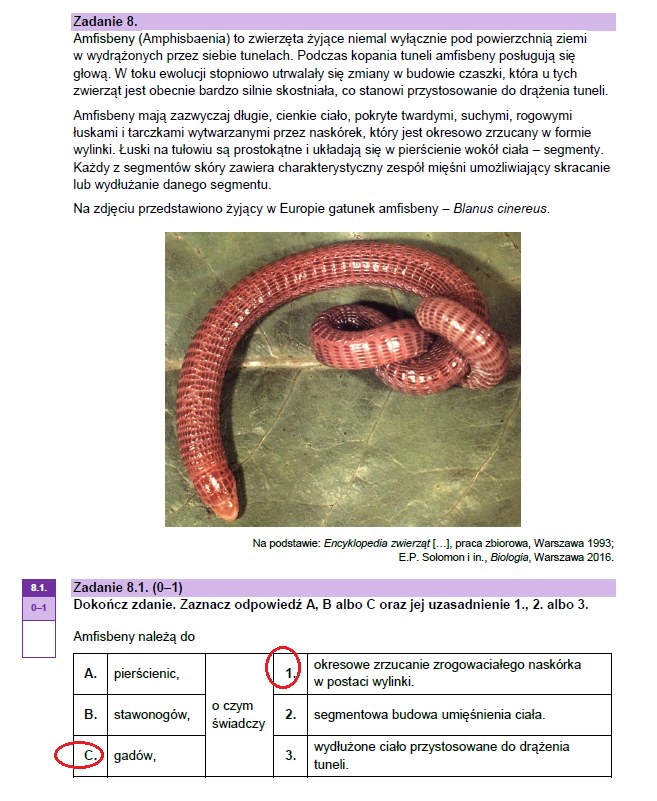 Matura 2023: Arkusze CKE I Odpowiedzi - Biologia - Wydarzenia W INTERIA.PL