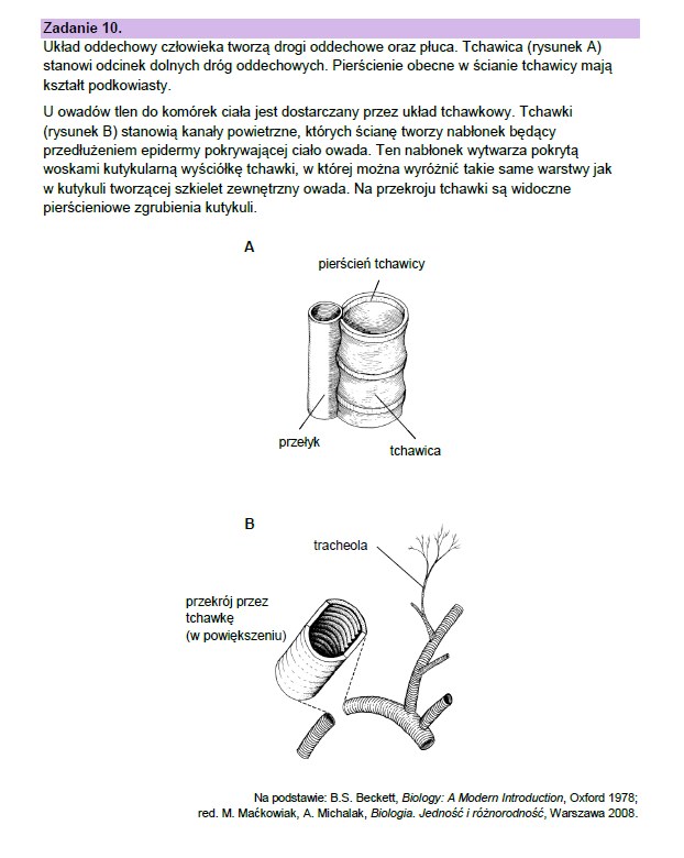 Matura 2023: Arkusze CKE I Odpowiedzi - Biologia - Wydarzenia W INTERIA.PL