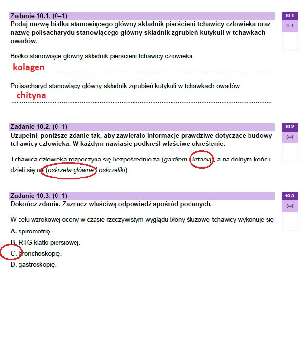 Matura 2023: Arkusze CKE I Odpowiedzi - Biologia - Wydarzenia W INTERIA.PL