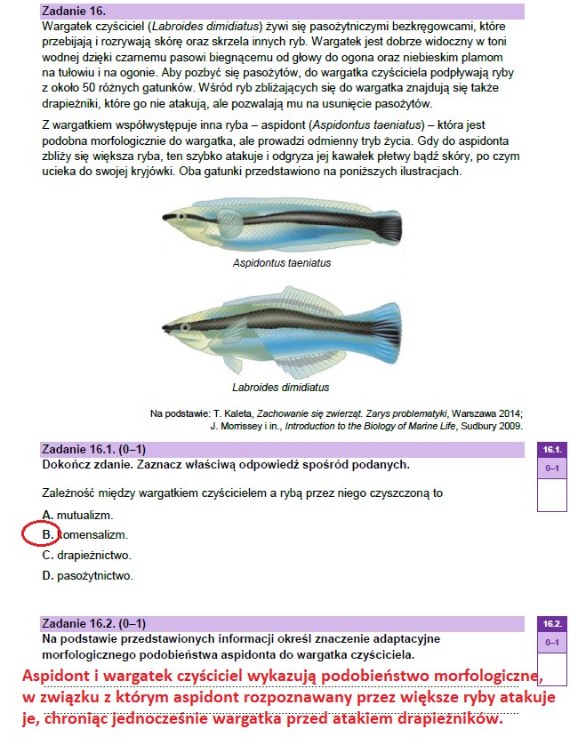 Matura 2023: Arkusze CKE I Odpowiedzi - Biologia - Wydarzenia W INTERIA.PL