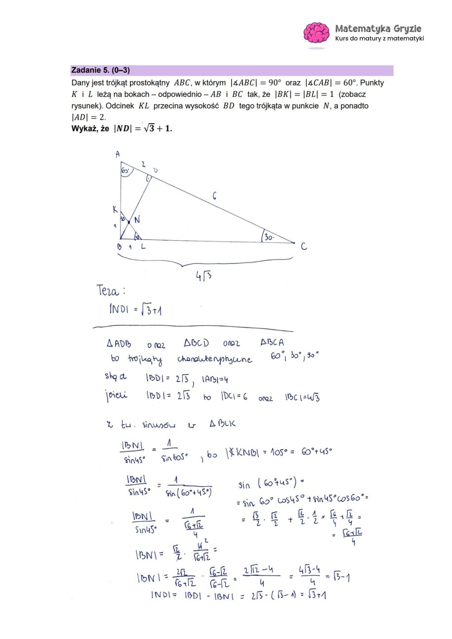 Matura 2023: Matematyka na poziomie rozszerzonym /MATEMATYKA GRYZIE /RMF FM