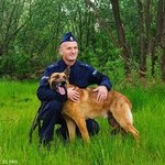 Mazowieckie: Policyjny pies Laner odnalazł zaginioną dziewczynkę