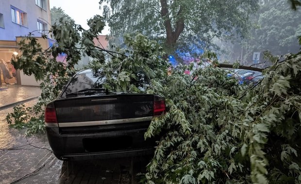 Mazowsze po burzach. Połamane drzewa, zerwane balustrady i spóźnione pociągi