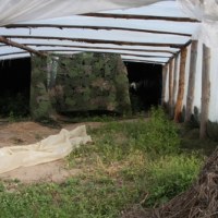 Na Mazowszu zlikwidowano kolejną plantację marihuany