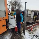 Mazowsze: Przewróciła się ciężarówka z trzodą chlewną