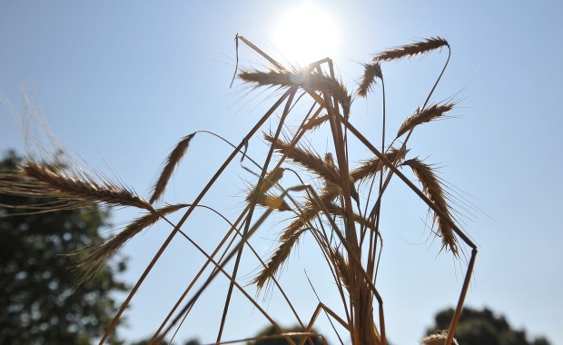 Mazowsze: Wojewoda apeluje o składanie wniosków ws. szacowania strat 