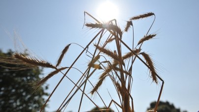 Mazowsze: Wojewoda apeluje o składanie wniosków ws. szacowania strat 