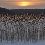 Mazurskie jeziora zaczyna skuwać lód - pierwszy raz tej zimy