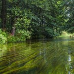 Mazury: Będą kary za cumowanie przy wyspach 