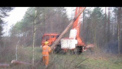 Mazury: Energetycy naprawiają sieć uszkodzoną przez wichurę