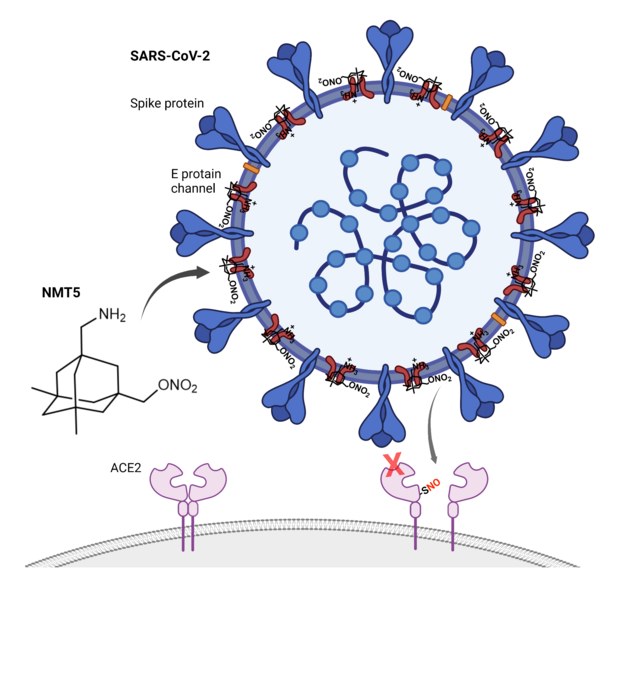 Mechanizm działania NMT5 /Scripps Research /Materiały prasowe