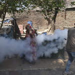 Media: 12-latek pierwszą śmiertelną ofiarą ptasiej grypy w Indiach