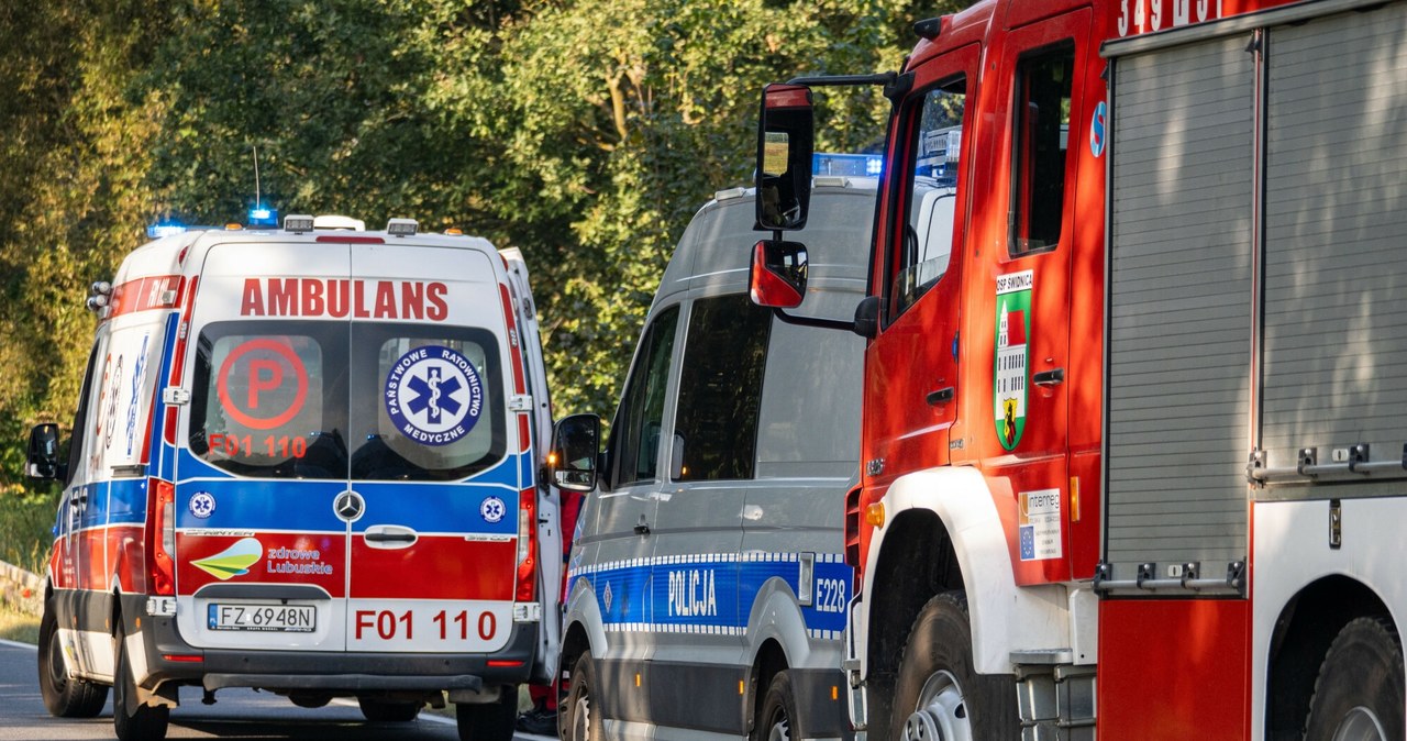 Media: jeden z najbogatszych Norwegów zginął w wypadku na terenie Polski /NewsLubuski/East News /East News
