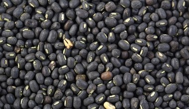 Мега користь у маленьких зернах. Багаті на білок, вони - порятунок для серця та кісток