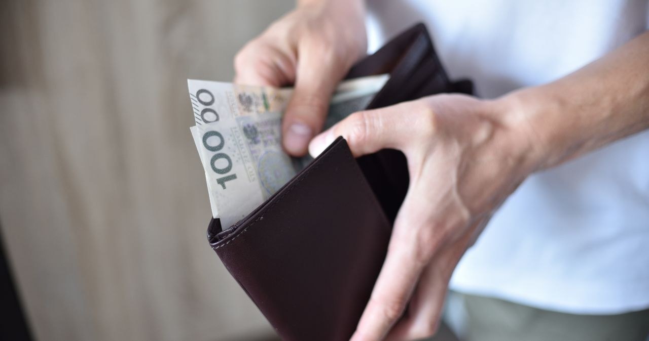 Mega obniżka w Biedronce! Z 47,99 zł na 24 zł tylko przez kilka dni /adobestock /INTERIA.PL