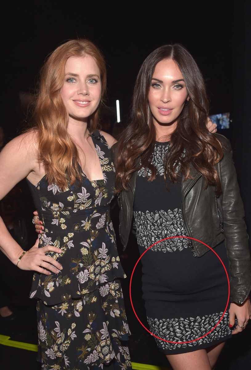 Megan Fox jest w ciąży! /Alberto E. Rodriguez /Getty Images